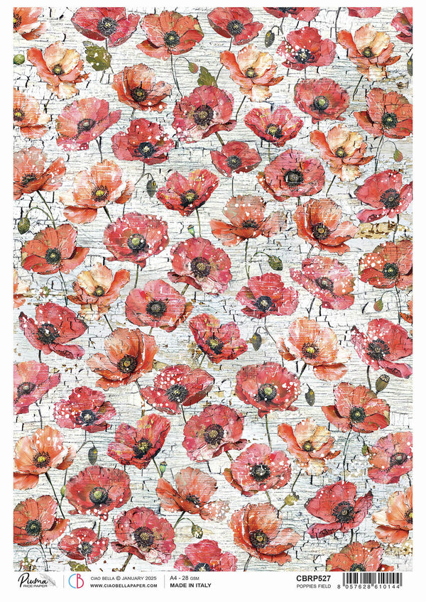 Ciao Bella Majestic Dream POPPIES FIELD A4 Rice Paper Mixed Media #CBRP527