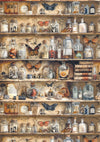 Ciao Bella CABINET OF CURIOSITIES A5 Assorted Rice Paper Selection Decoupage 8 sheets #CBRS010