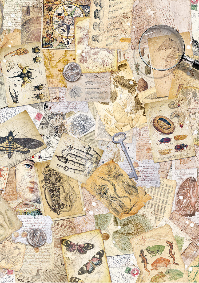 Ciao Bella CABINET OF CURIOSITIES A5 Assorted Rice Paper Selection Decoupage 8 sheets #CBRS010