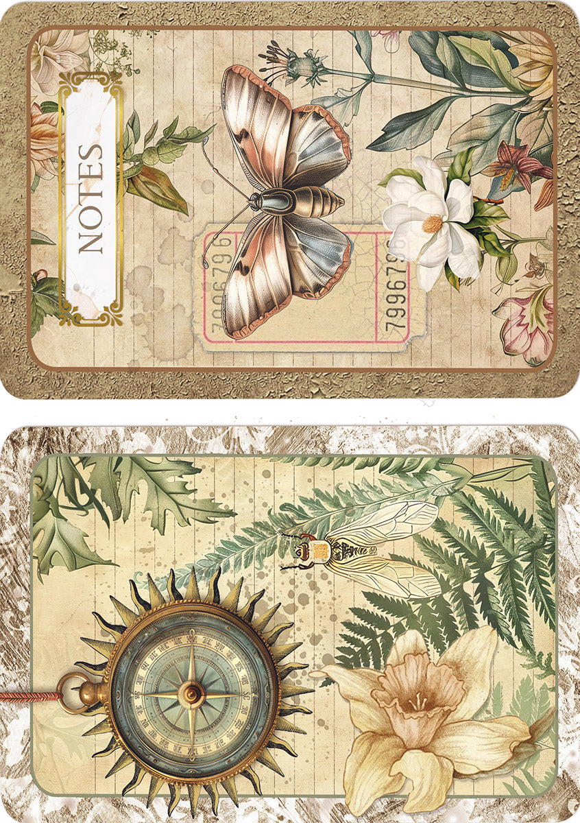 Ciao Bella CABINET OF CURIOSITIES A5 Assorted Rice Paper Selection Decoupage 8 sheets #CBRS010