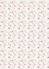 Ciao Bella SECRET GARDEN A5 Assorted Rice Paper Selection Decoupage 8 sheets #CBRS013