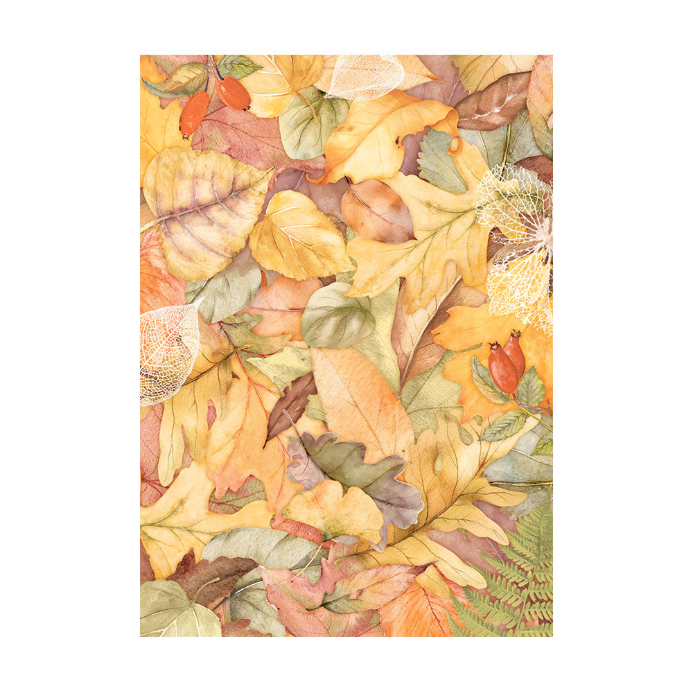 Stamperia WOODLAND Backgrounds A6 Assorted Rice Paper SELECTION Decoupage 8 sheets #DFSAK6011