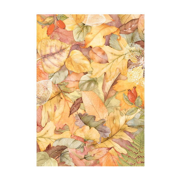 Stamperia WOODLAND Backgrounds A6 Assorted Rice Paper SELECTION Decoupage 8 sheets #DFSAK6011