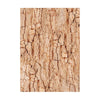 Stamperia WOODLAND Backgrounds A6 Assorted Rice Paper SELECTION Decoupage 8 sheets #DFSAK6011