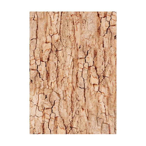 Stamperia WOODLAND Backgrounds A6 Assorted Rice Paper SELECTION Decoupage 8 sheets #DFSAK6011