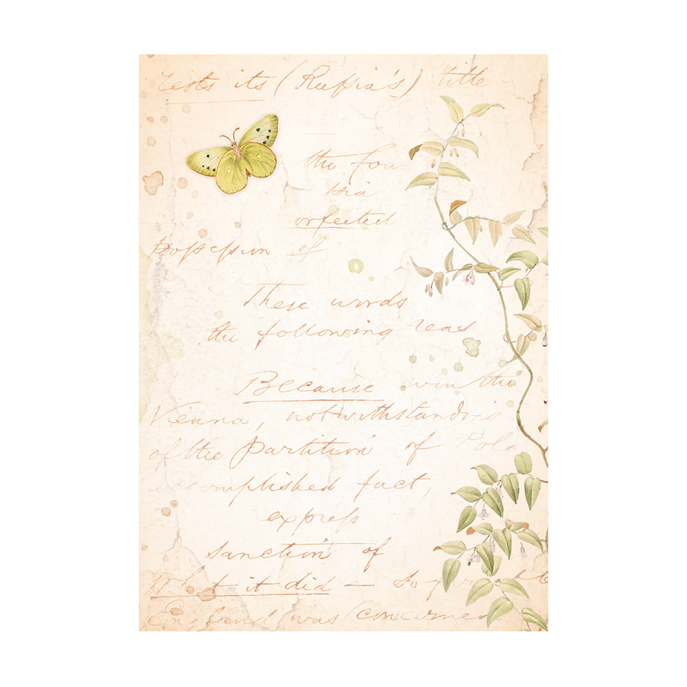 Stamperia WOODLAND Backgrounds A6 Assorted Rice Paper SELECTION Decoupage 8 sheets #DFSAK6011
