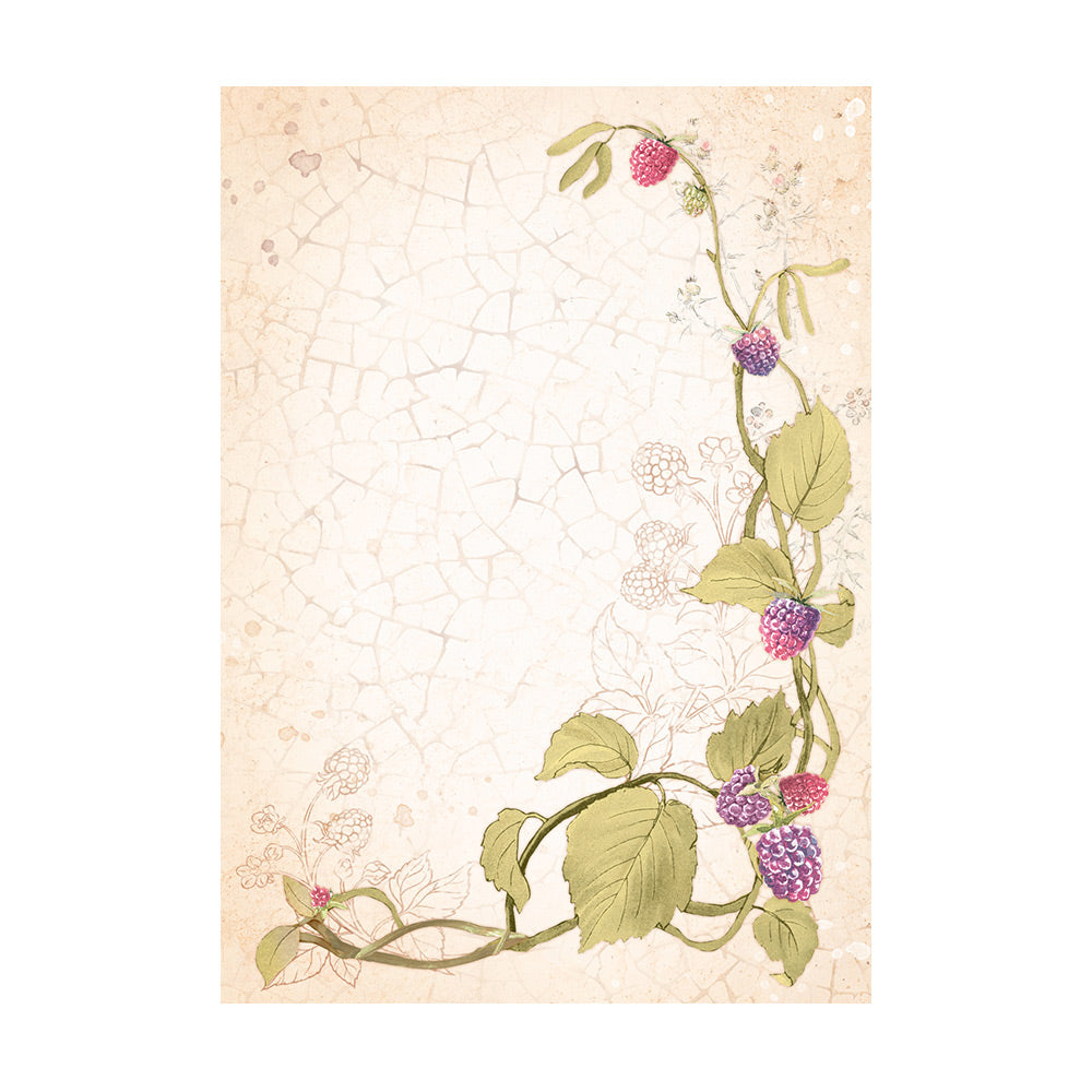 Stamperia WOODLAND Backgrounds A6 Assorted Rice Paper SELECTION Decoupage 8 sheets #DFSAK6011