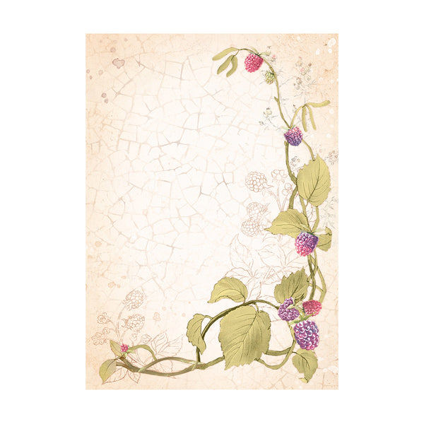 Stamperia WOODLAND Backgrounds A6 Assorted Rice Paper SELECTION Decoupage 8 sheets #DFSAK6011