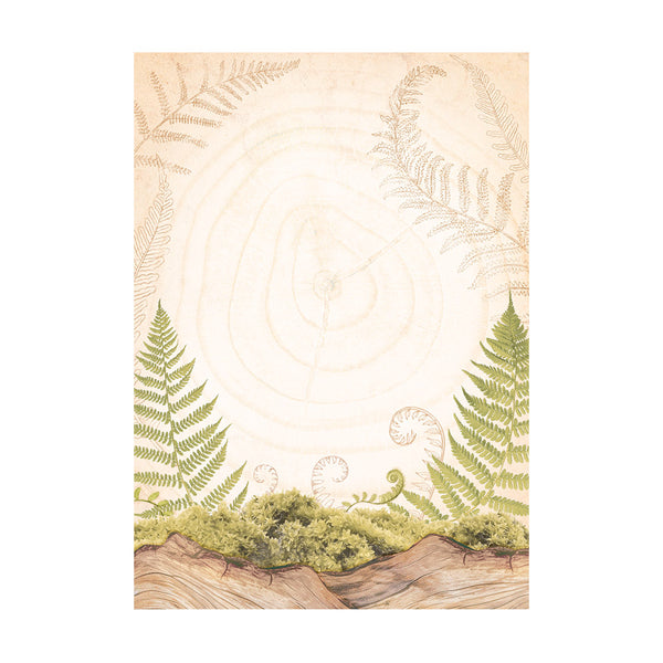 Stamperia WOODLAND Backgrounds A6 Assorted Rice Paper SELECTION Decoupage 8 sheets #DFSAK6011