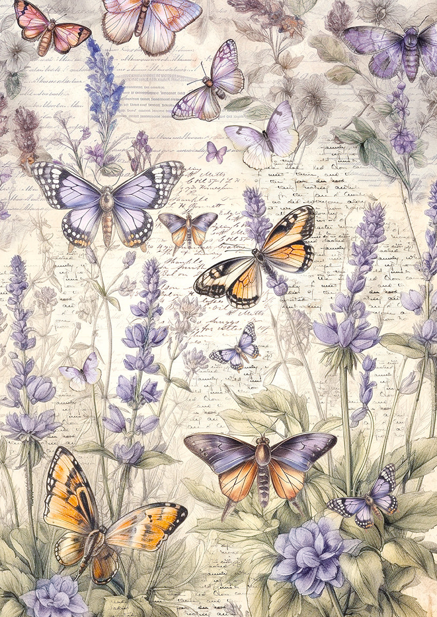 PRE-ORDER Ciao Bella WHIMSICAL BUTTERFLIES A4 Tissue Decoupage Paper 6 sheets #HA003