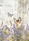 PRE-ORDER Ciao Bella WHIMSICAL BUTTERFLIES A4 Tissue Decoupage Paper 6 sheets #HA003