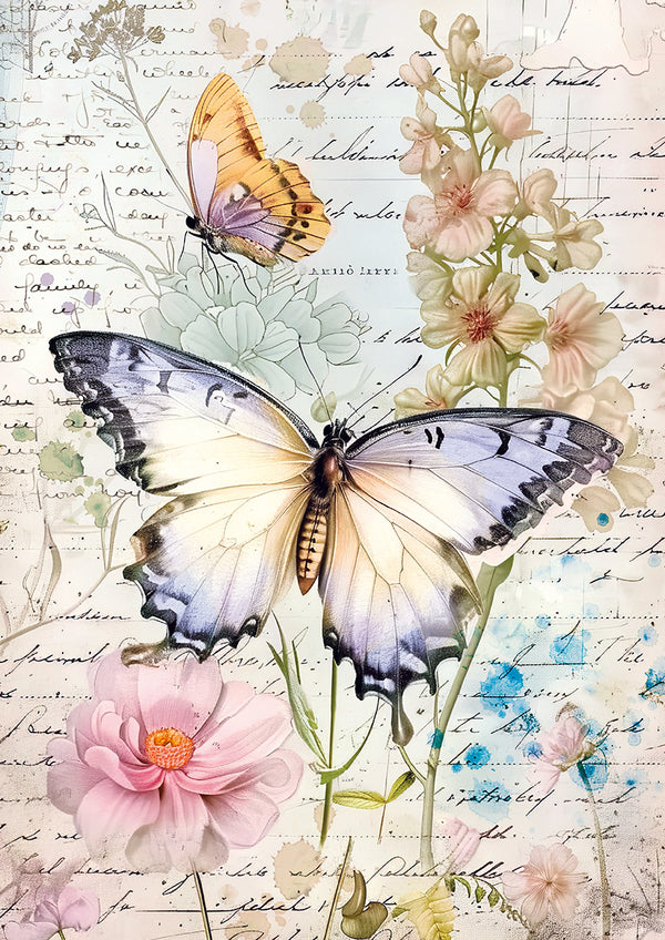 PRE-ORDER Ciao Bella WHIMSICAL BUTTERFLIES A4 Tissue Decoupage Paper 6 sheets #HA003