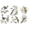 re-design Prima RARE BIRDS 6X12 Decor Transfers 3 sheets #656027