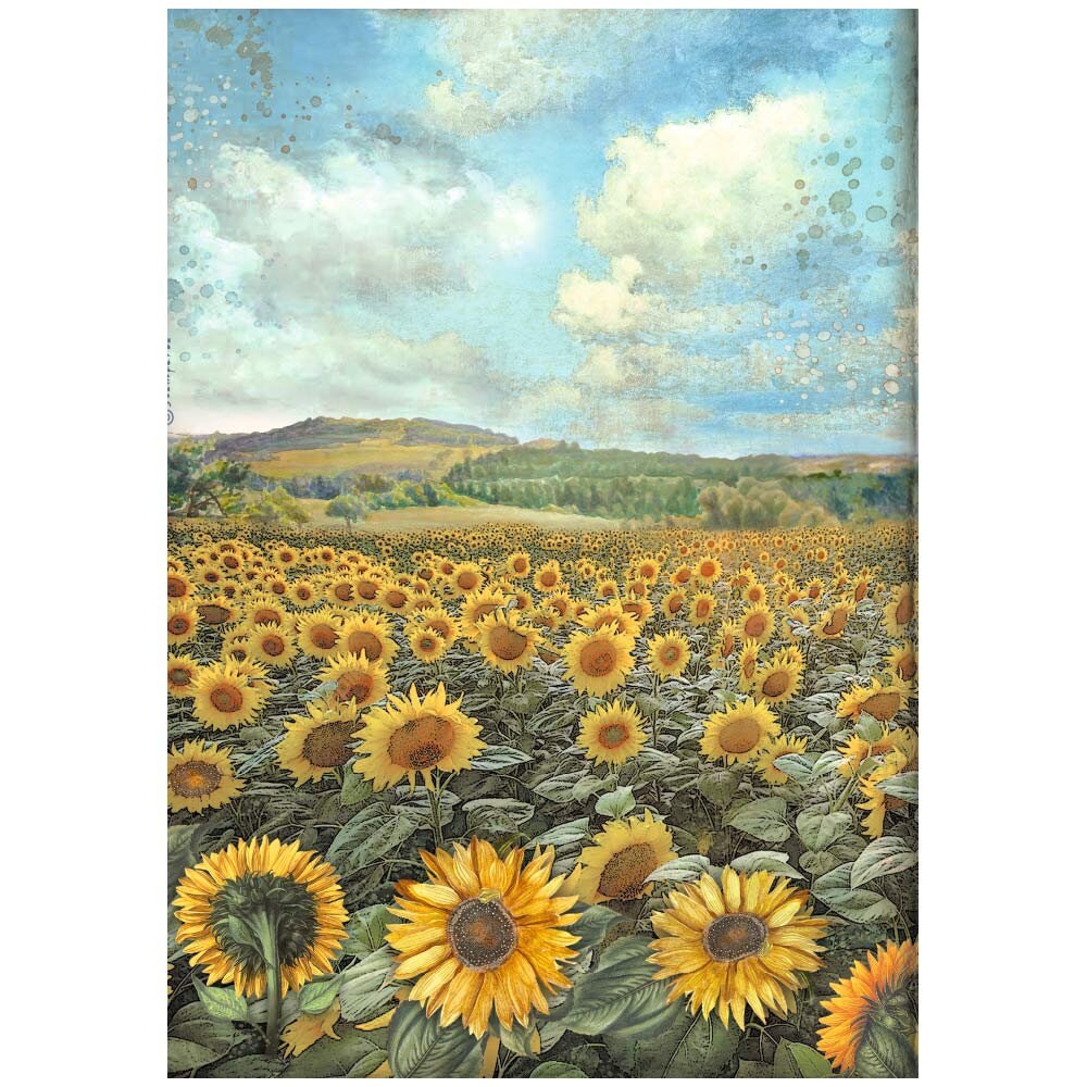 Stamperia SUNFLOWER ART A4 Rice Paper SELECTION Decoupage #DFSA4XSF