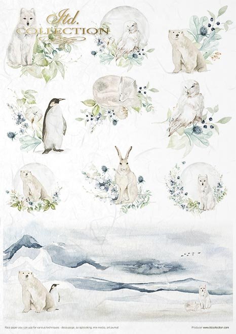 ITD Collection The WORLD of ICE Porcelain A4 Rice Paper Set 11 Sheets #RP027