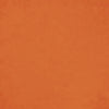 Solid orange color swatch