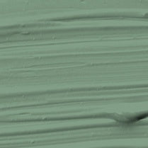 DecoArt DESERT CACTUS Americana Acrylic Paint 2 oz. Bottle - #DA331