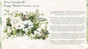 Re-design with Prima FROGGY MEADOW GREENS Decor Transfer 24"x35" #669539