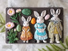 Re-Design with Prima SPRINGTIME BUNNY Decor Moulds Mold Food Safe 5X8 Resin #675967