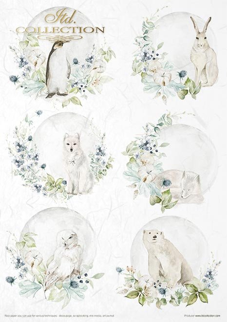 ITD Collection The WORLD of ICE Porcelain A4 Rice Paper Set 11 Sheets #RP027