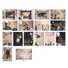 Prima BEWITCHED HALLOWEEN Collection 4X6 Journaling Notecards #677787