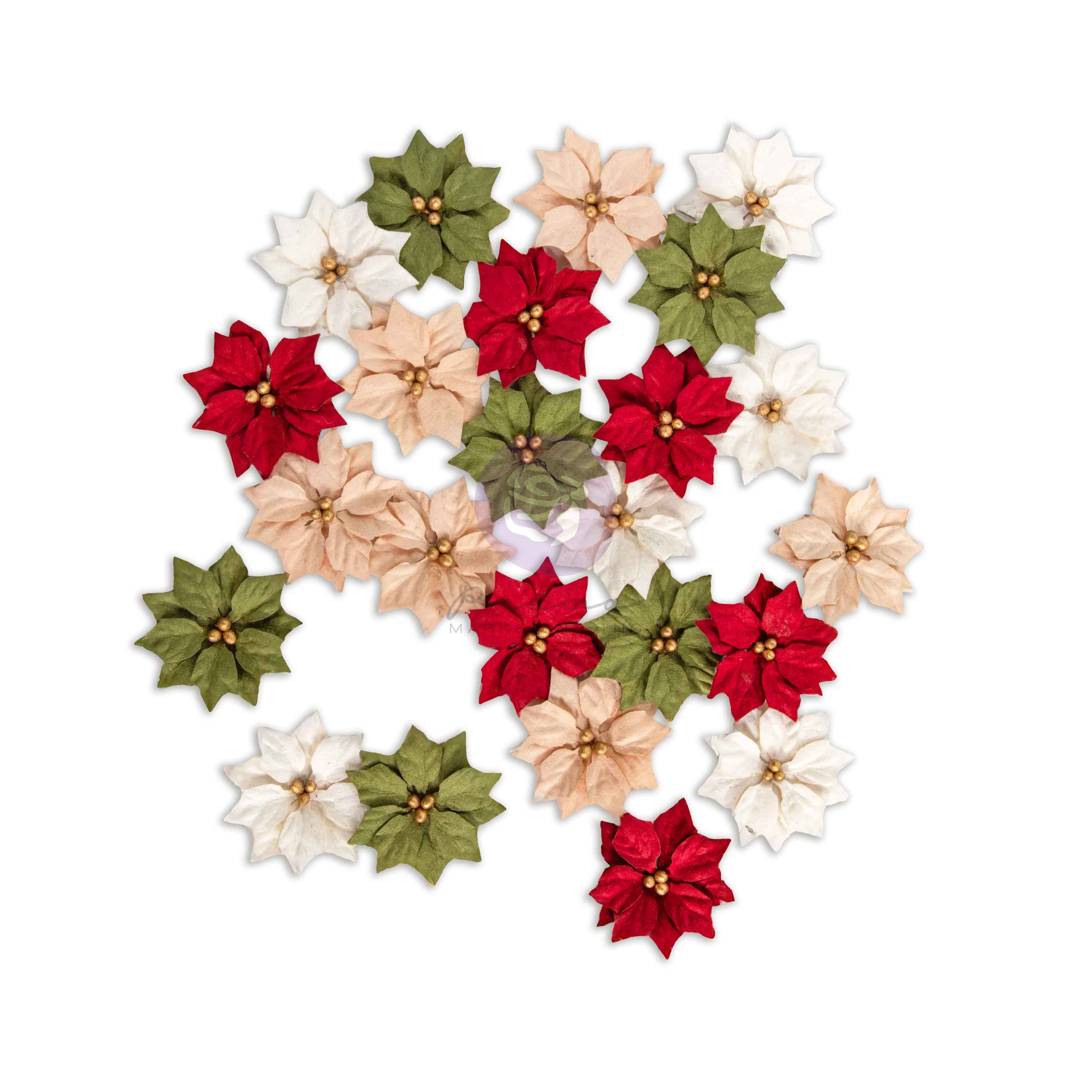 Assorted Christmas flowers in red, green, and beige on a white background