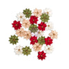 Assorted Christmas flowers in red, green, and beige on a white background