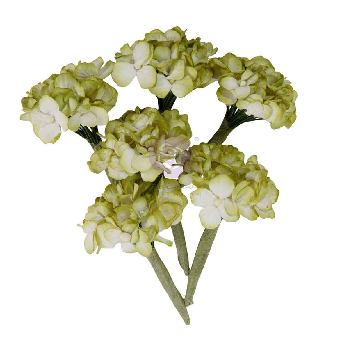 Prima HOMEGROWN Collection GARDEN HYDRANGEA MIST Flowers 6 pcs #683658
