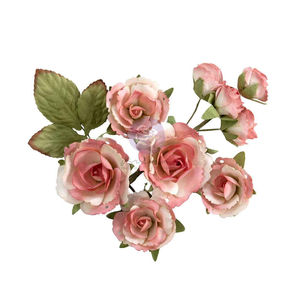 Prima HOMEGROWN Collection GARDEN ROSE BLUSH Flowers 10 pcs #683672
