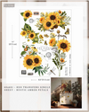 A sheet of floral H2O transfer decals featuring sunflowers, green leaves, butterflies, and vintage-style text, shown on a white background with size markings and a small interior lifestyle photo in the lower right corner.