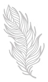 Crafters Companion GRACEFUL FEATHER Stencil #CCMASKGRFEA