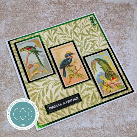 Craft Consortium THE COLLECTOR - The Essential Craft Papers 12