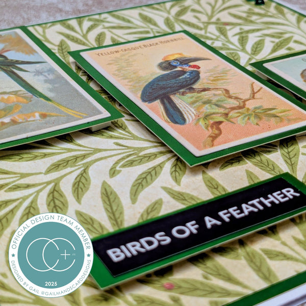 Craft Consortium THE COLLECTOR - BIRDS EPHEMERA  #CEEPH002