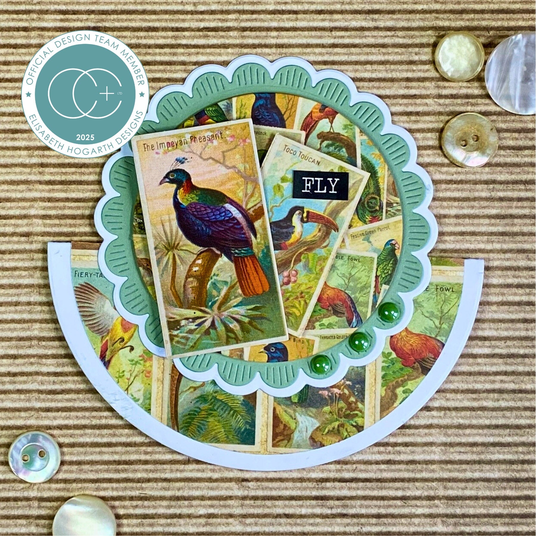 Craft Consortium THE COLLECTOR - BIRDS EPHEMERA  #CEEPH002