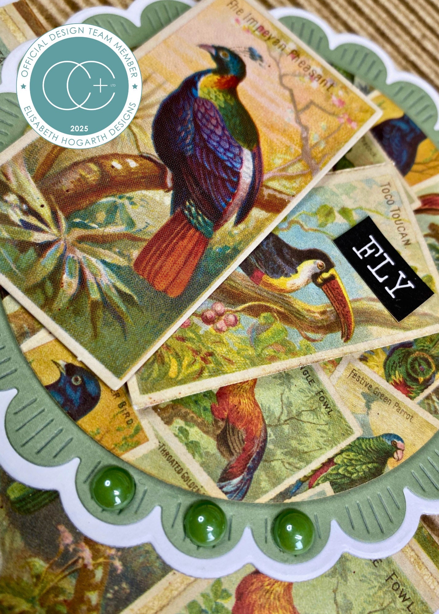 Craft Consortium THE COLLECTOR - BIRDS EPHEMERA  #CEEPH002