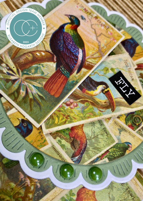 Craft Consortium THE COLLECTOR - BIRDS EPHEMERA  #CEEPH002