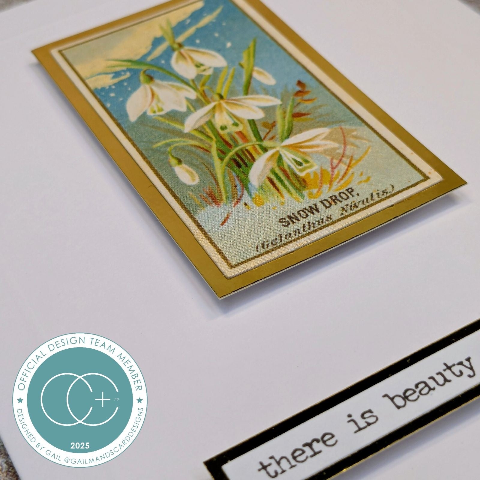 Craft Consortium THE COLLECTOR - FLOWERS EPHEMERA  #CEEPH003