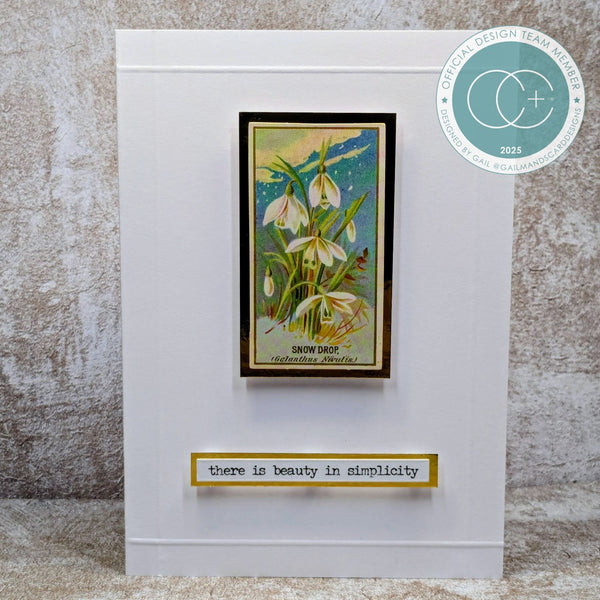 Craft Consortium THE COLLECTOR - FLOWERS EPHEMERA  #CEEPH003