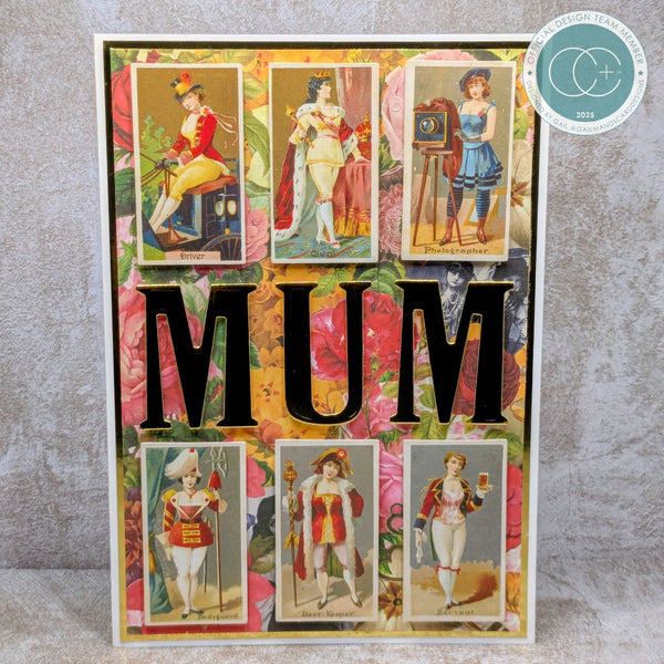 Craft Consortium THE COLLECTOR - LADIES EPHEMERA  #CEEPH001