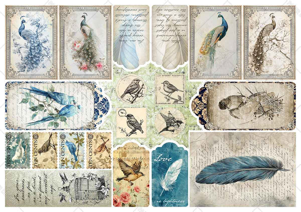 Paper Designs VINTAGE BIRDS Collection A4 Vellum Paper 10 sheets #VP_001