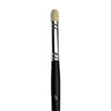 brush with black handle and silver ferrule on a white background