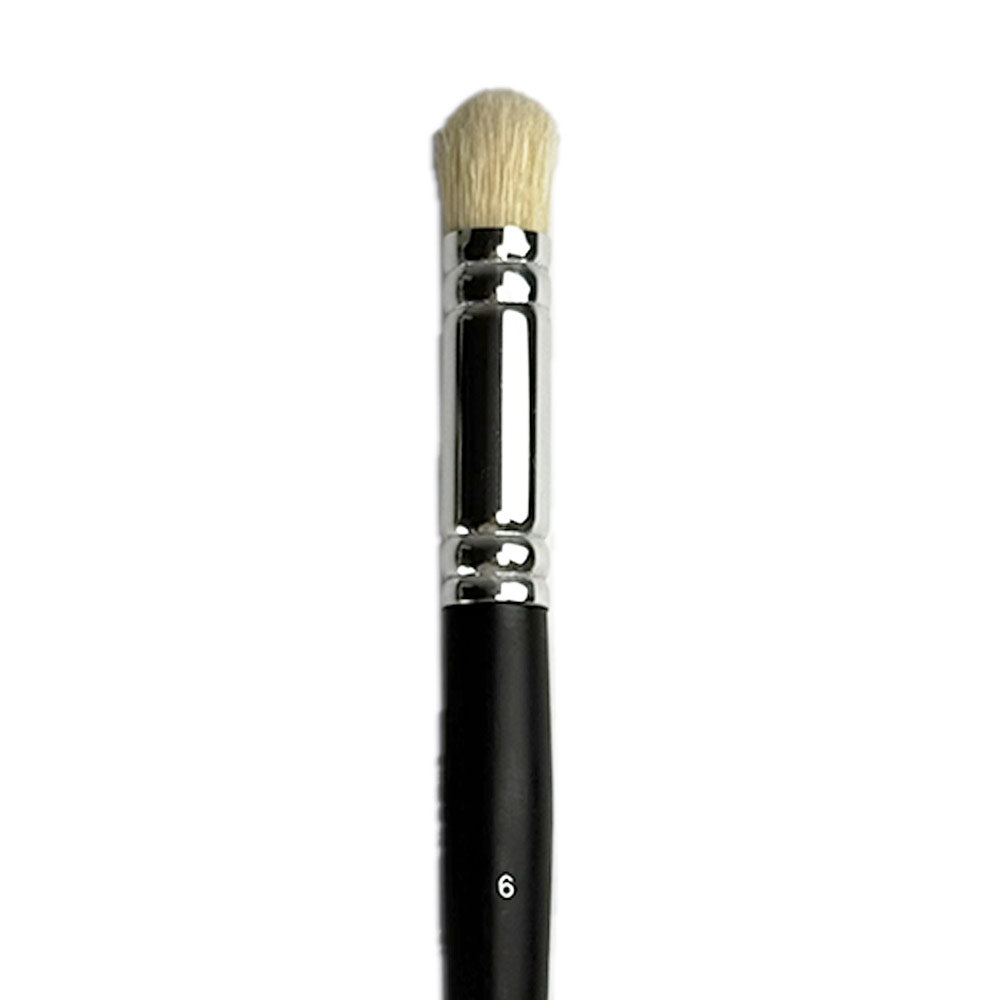 brush with black handle and silver ferrule on a white background