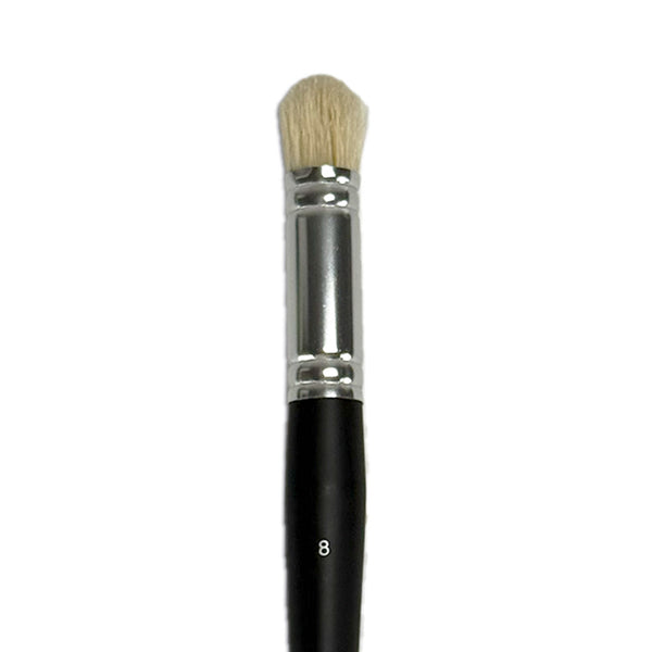 brush with black handle and silver ferrule on a white background