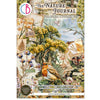 Ciao Bella THE NATURE JOURNAL A4 Junk Journal & Ephemera Book #CBB030