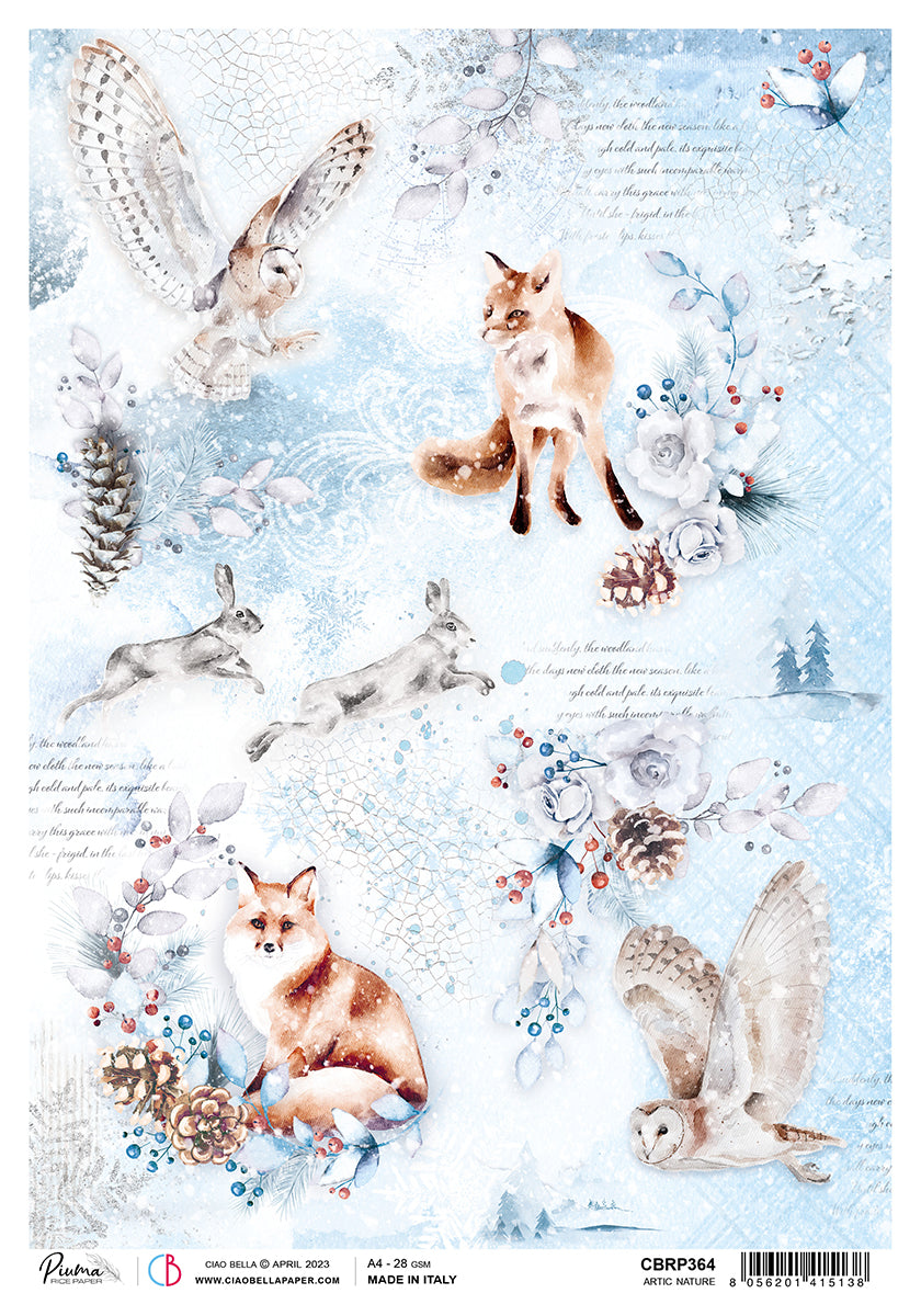 Ciao Bella Winter Journey ARCTIC NATURE Decoupage Rice Paper A4 #CBRP364