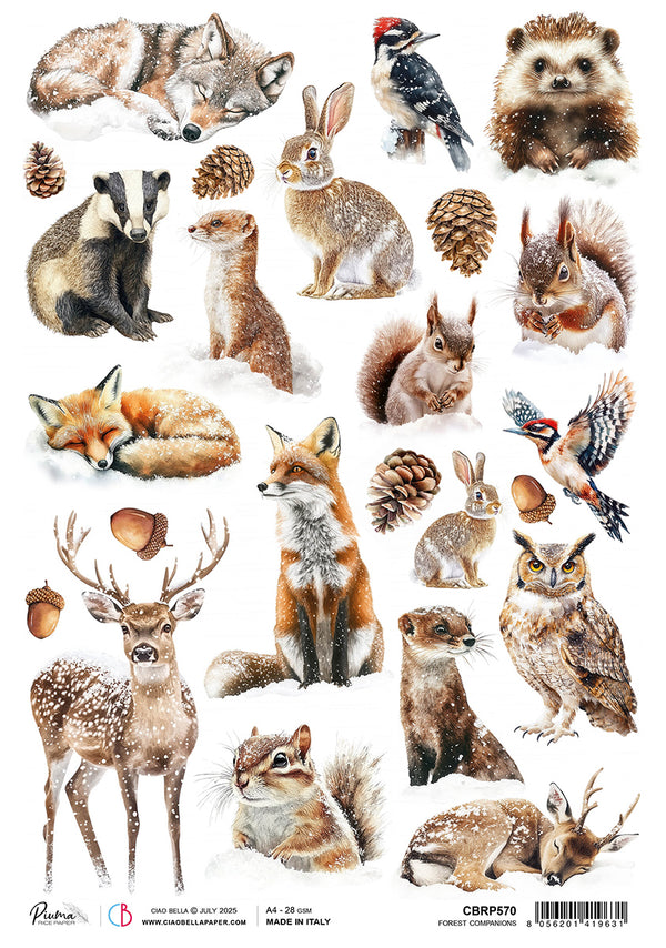 Collection of forest animals and nature elements on a white background