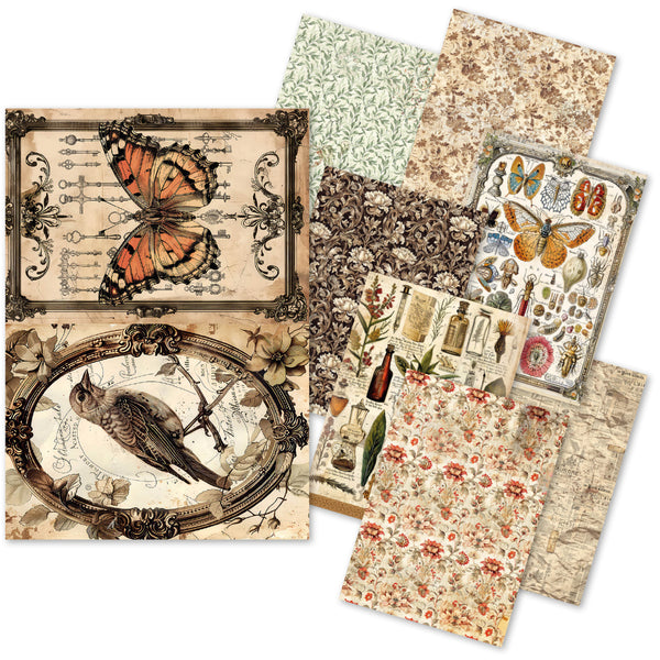 Ciao Bella CABINET OF CURIOSITIES A5 Assorted Rice Paper Selection Decoupage 8 sheets #CBRS003