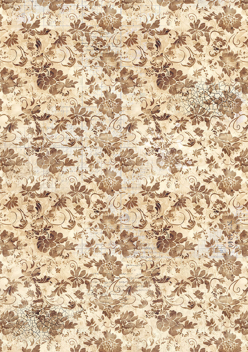 Ciao Bella CABINET OF CURIOSITIES A5 Assorted Rice Paper Selection Decoupage 8 sheets #CBRS003