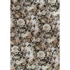 Ciao Bella DARK ACADEMIA A5 Assorted Rice Paper Selection Decoupage 8 sheets #CBRS020