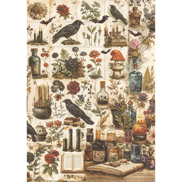 Ciao Bella DARK ACADEMIA A5 Assorted Rice Paper Selection Decoupage 8 sheets #CBRS020